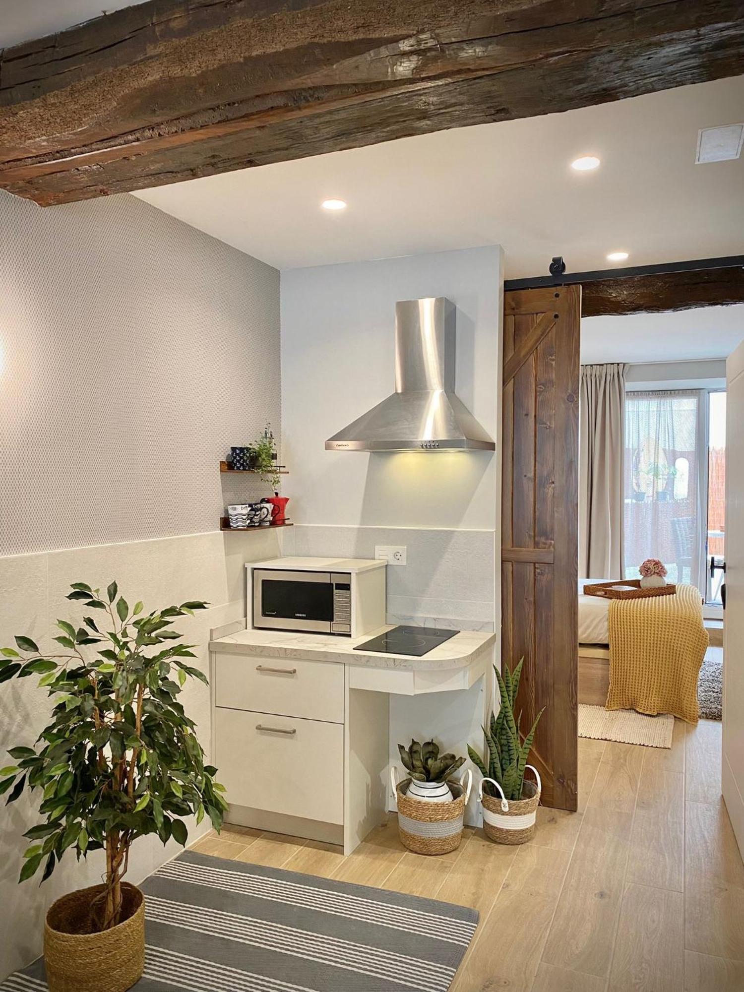 Altzoan Zarauz Tourist Apartments Con Aparcamiento Gratis Dış mekan fotoğraf